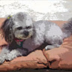 Meet your Posher, Cindy